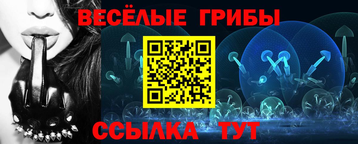 Галлюциногенные грибы GOLDEN TEACHER  цена   Псилоцибиновые грибы мухоморы  Костомукша  Вход с VPN 