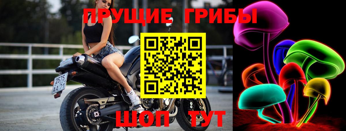 Галлюциногенные грибы мицелий Костомукша